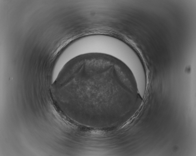 X0000115610154200912011559