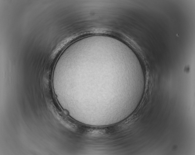 X0000115610155200912011559