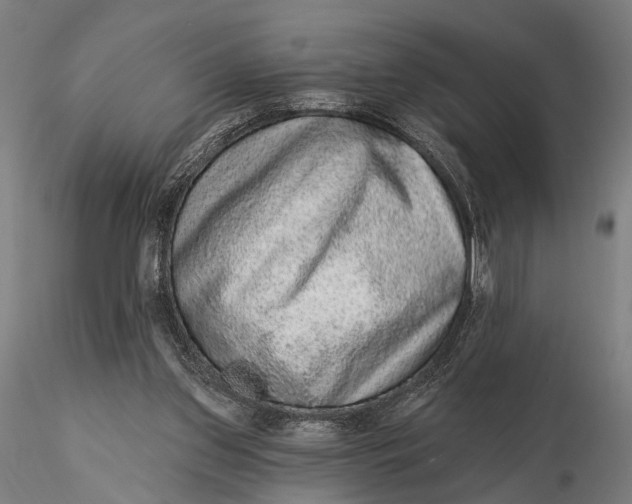 X0000115610157200912011559