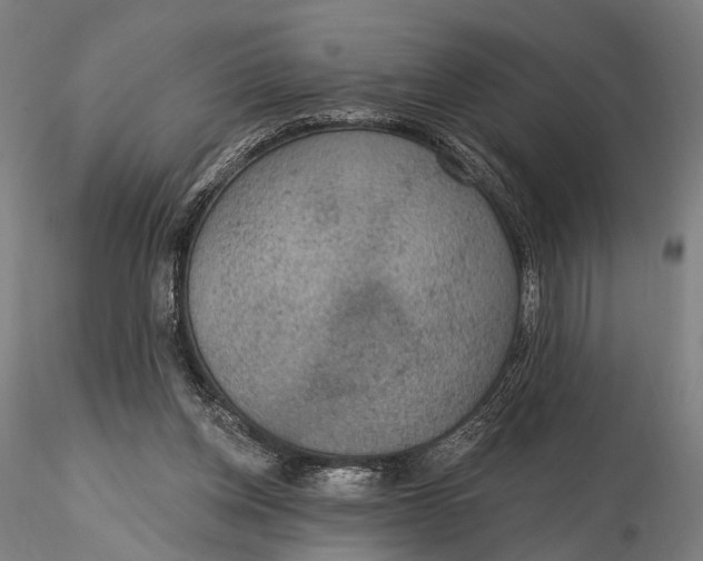 X0000115610158200912011559