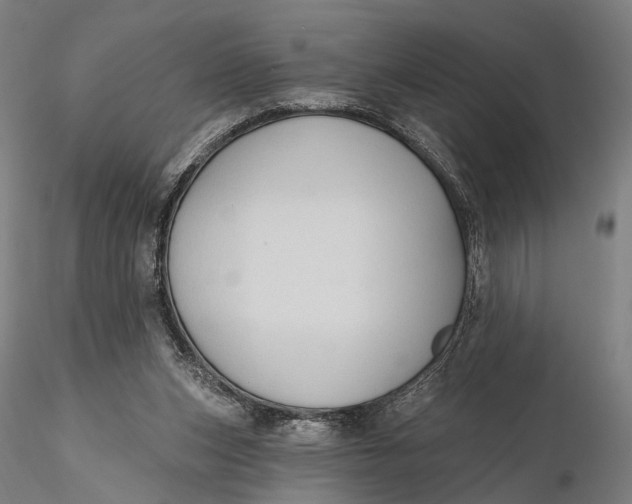 X0000115610159200912011559