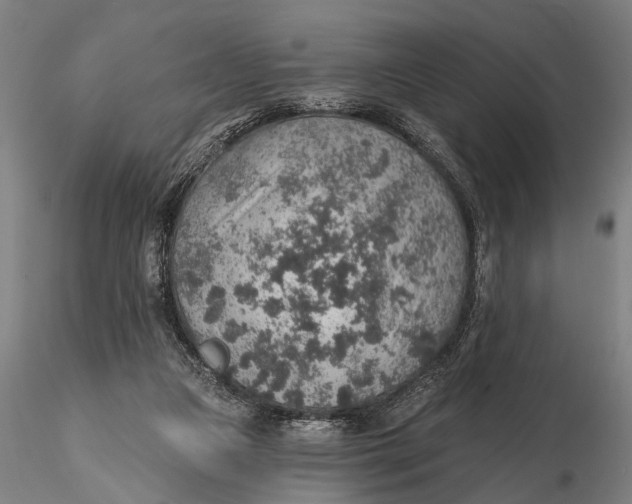 X0000115610161200912011559