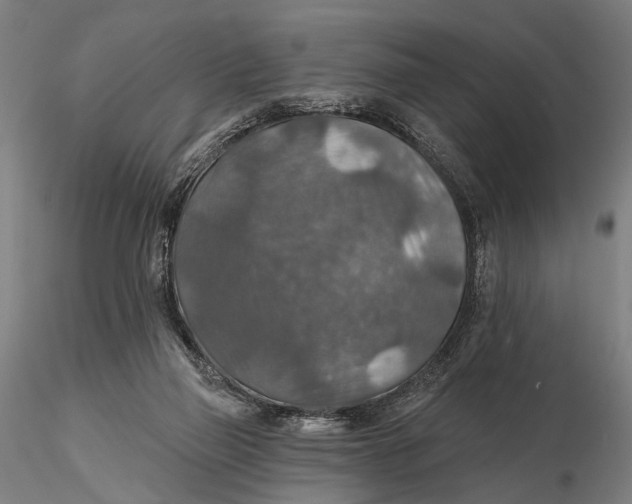 X0000115610165200912011559