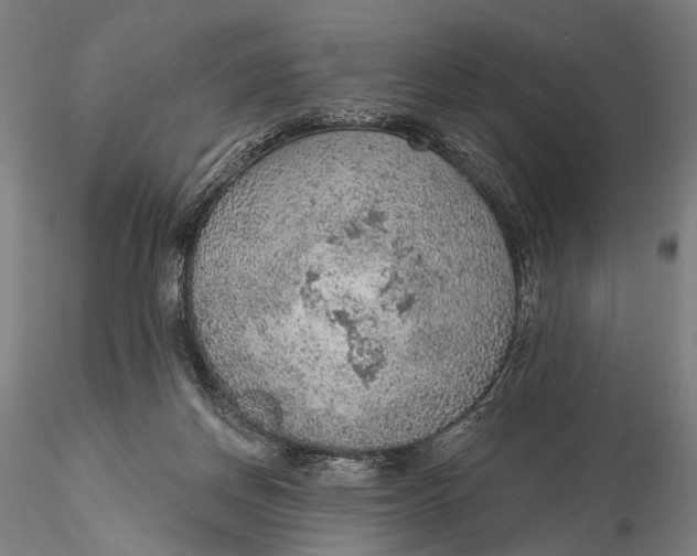 X0000115610166200912011559