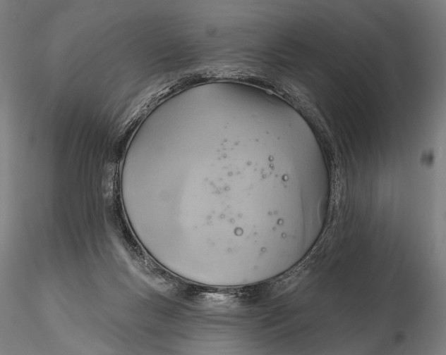 X0000115610167200912011559