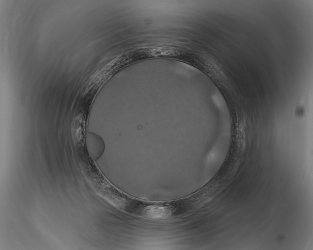 X0000115610169200912011559