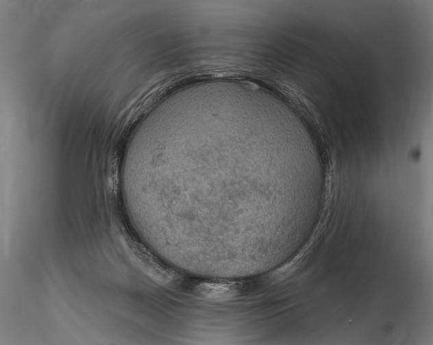 X0000115610170200912011600
