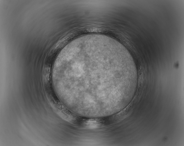 X0000115610171200912011600