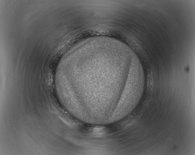 X0000115610173200912011600