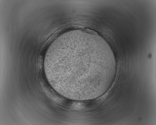 X0000115610174200912011600
