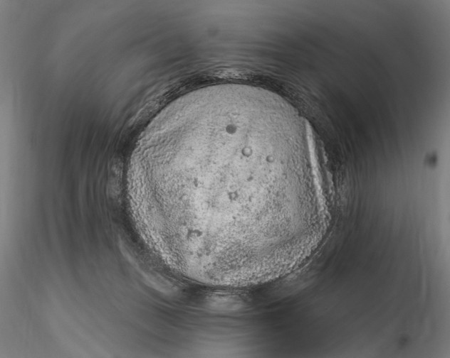 X0000115610175200912011600