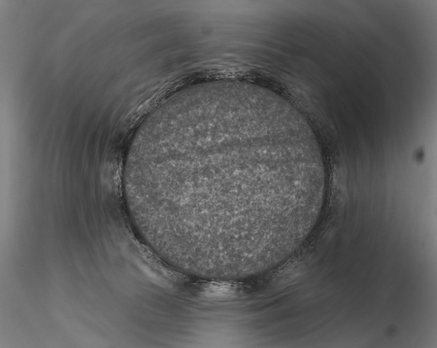 X0000115610177200912011600
