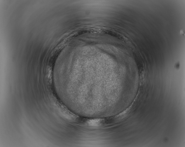 X0000115610178200912011600