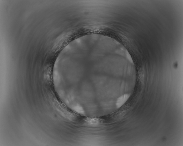 X0000115610181200912011600
