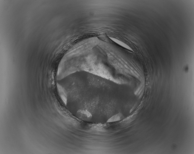 X0000115610182200912011600