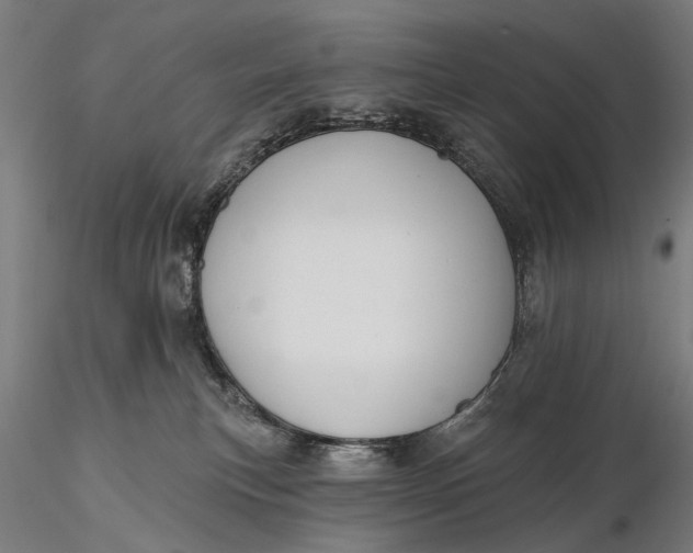 X0000115610183200912011600