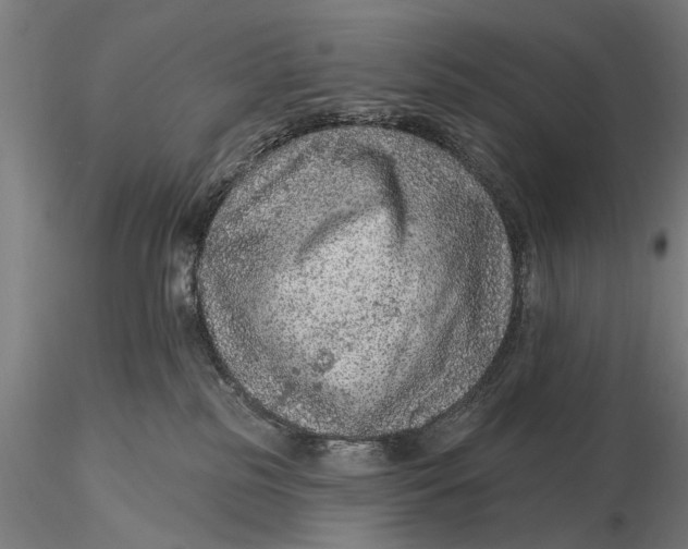 X0000115610185200912011600