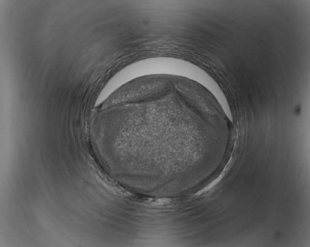 X0000115610186200912011600