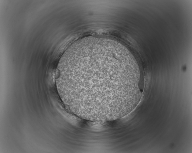 X0000115610191200912011600