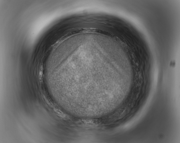 X0000115610194200912011559