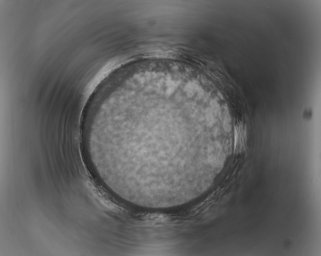 X0000115610195200912011559