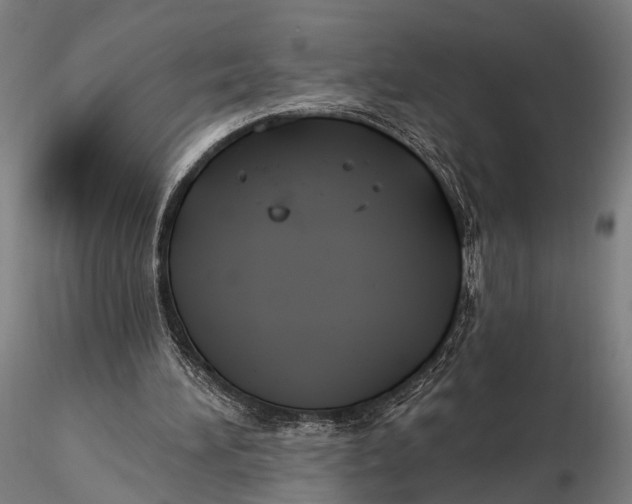 X0000115610196200912011559