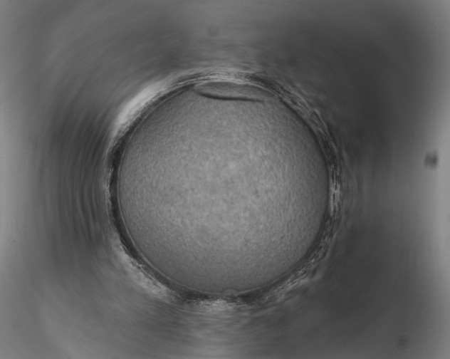 X0000115610197200912011559