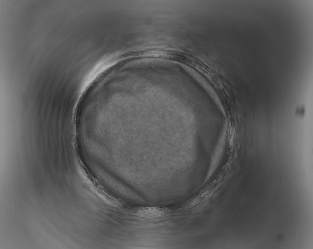X0000115610198200912011559