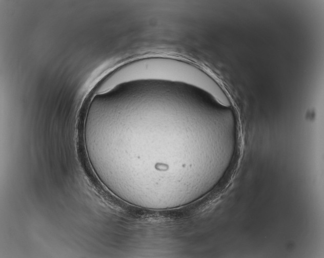 X0000115610199200912011559