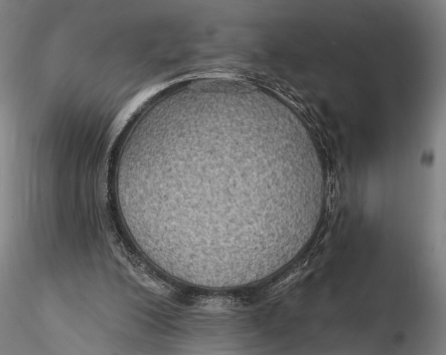 X0000115610200200912011559