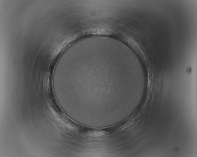 X0000115610202200912011559