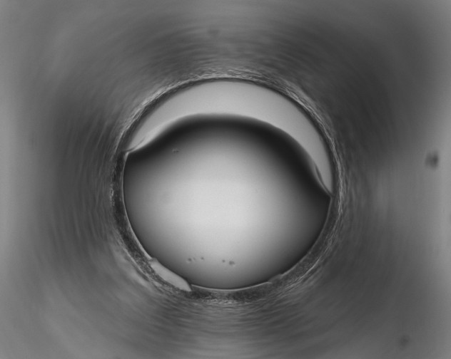 X0000115610203200912011559
