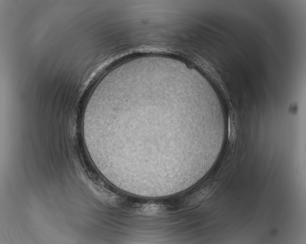X0000115610204200912011559