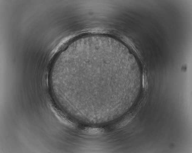 X0000115610205200912011559