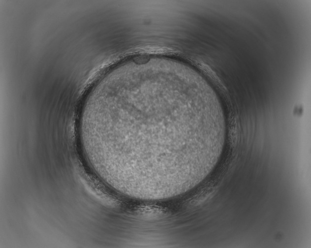 X0000115610207200912011559