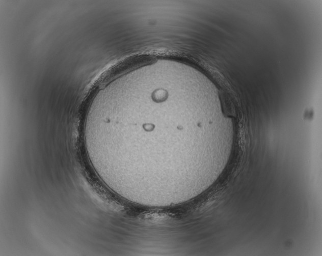 X0000115610208200912011559