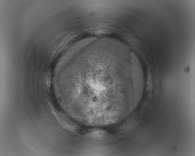 X0000115610210200912011559