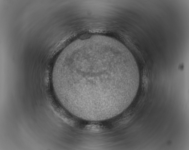 X0000115610211200912011559