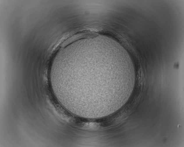 X0000115610212200912011559