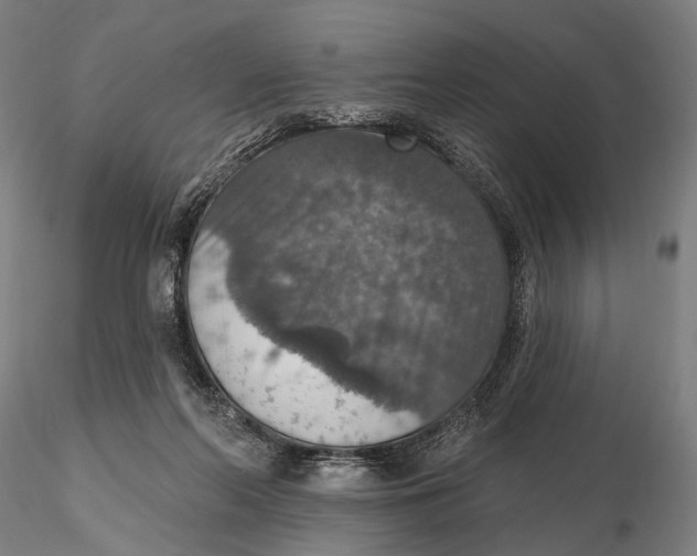 X0000115610214200912011559