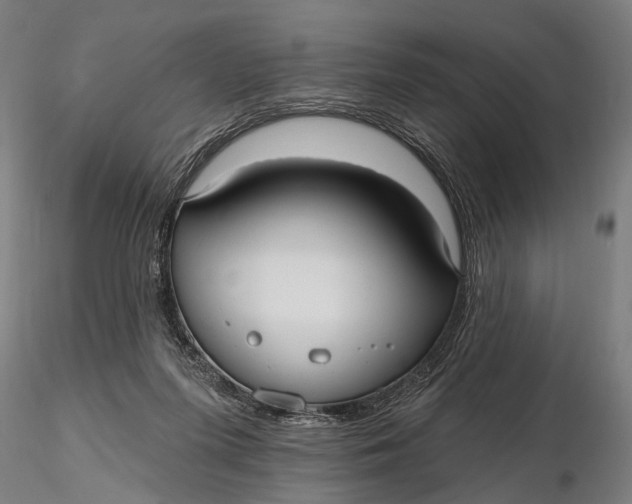 X0000115610215200912011559