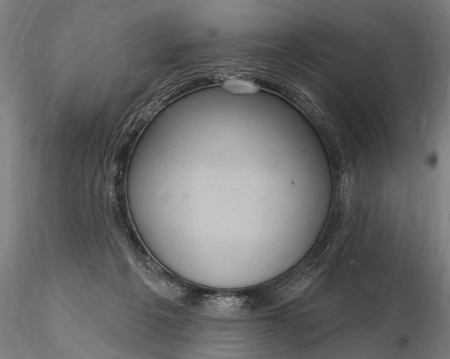 X0000115610217200912011558