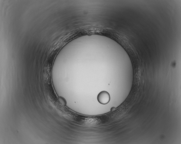 X0000115610218200912011558