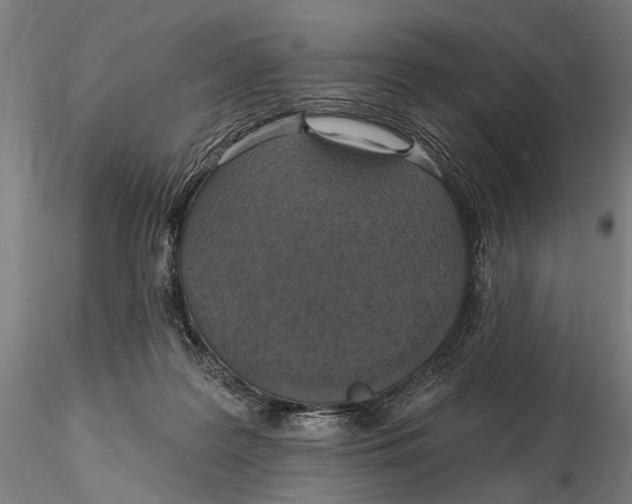 X0000115610219200912011558