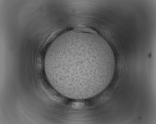X0000115610220200912011558