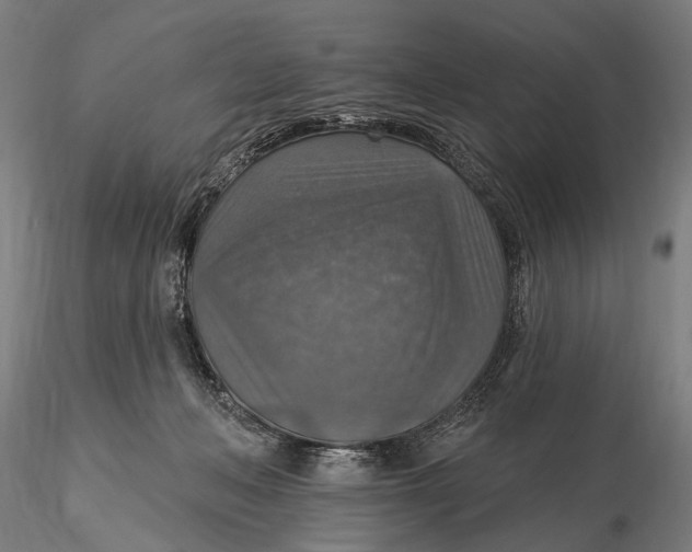 X0000115610222200912011558