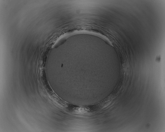 X0000115610223200912011558