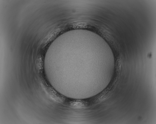 X0000115610224200912011558
