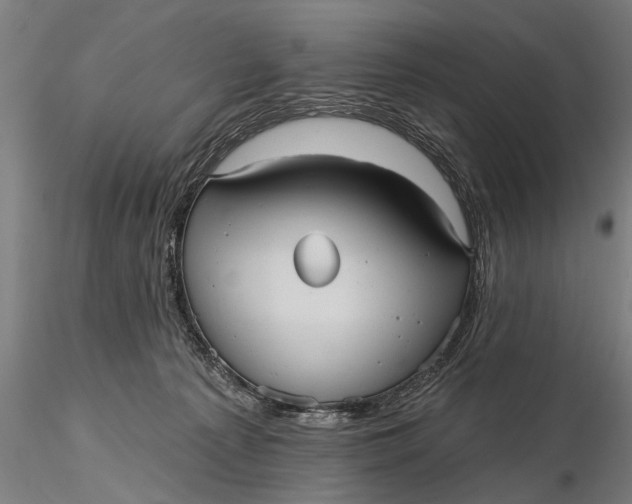 X0000115610225200912011558