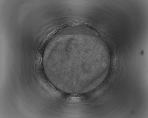 X0000115610228200912011558